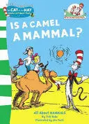 IS A CAMEL A MAMMAL?