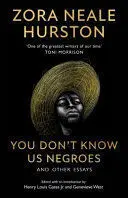 YOU DON'T KNOW US NEGROES AND OTHER ESSAYS