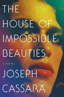 THE HOUSE OF IMPOSSIBLE BEAUTIES