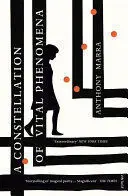 A CONSTELLATION OF VITAL PHENOMENA