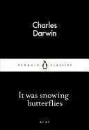 IT WAS SNOWING BUTTERFLIES
