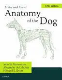 MILLER AND EVANS' ANATOMY OF THE DOG MILLER AND EVANS' ANATOMY OF THE DOG