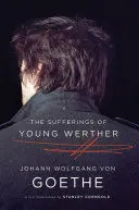 THE SUFFERINGS OF A YOUNG WERTHER