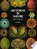 Art Forms In Nature