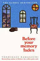 BEFORE YOUR MEMORY FADES