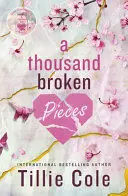 A THOUSAND BROKEN PIECES A THOUSAND BROKEN PIECES