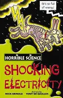 SHOCKING ELECTRICITY SHOCKING ELECTRICITY