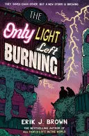 THE ONLY LIGHT LEFT BURNING