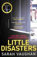LITTLE DISASTERS