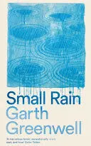 SMALL RAIN