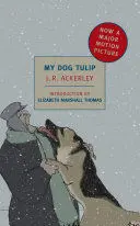 MY DOG TULIP MY DOG TULIP