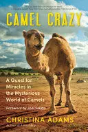 CAMEL CRAZY CAMEL CRAZY