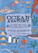 OCEAN ANATOMY OCEAN ANATOMY
