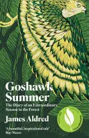 GOSHAWK SUMMER