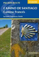 CAMINO DE SANTIAGO: CAMINO FRANCES