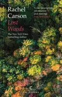 LOST WOODS