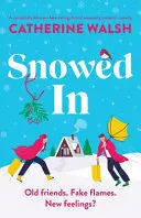 SNOWED IN