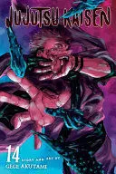 JUJUTSU KAISEN, VOL. 14